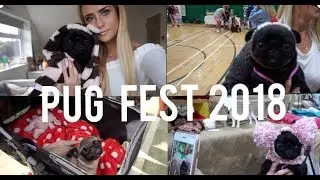 Pug Fest 2018 - The cutest video ever! | Vlog