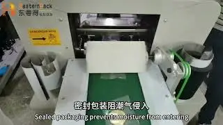 Flow packaging machine for lemon slices: Gentle feeding to prevent breakage #hffs