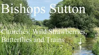 Bishops Sutton - A church, wild strawberries, butterflies and a steam train