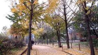 【Canon IXUS 1100HS】FULL HD / 實拍B