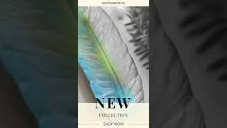 Feather Tray - Rainbow Colors