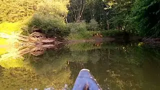 Enjoying the Butternut Creek with Alex  Wing, part 2