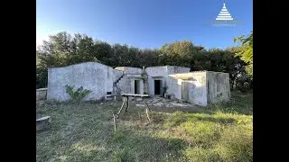 Lamia nel bosco a circa 7 km da Martina Franca