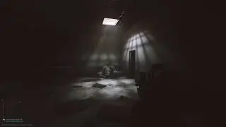 Who ya gonna call? Nate busters (Tarkov invisible glitch)