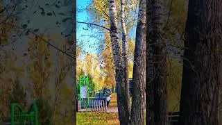 качели #beauty #play #красота #парк #осень