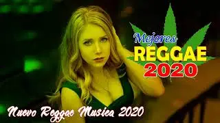 Nederlandse Reggaeton  ☘️ Nederland Reggae Muziek 2020 ☘️  Raggae Muziek Mix
