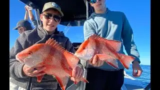 2 Days of Fishing Rainbow Beach! | Sharks, Tuna and Reef Species!