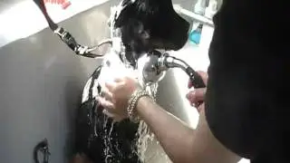 Rottweiler 17 weeks old  hydrobath Youtube.MOD