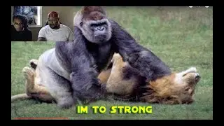 15 MOST POWERFUL AFRICAN ANIMALS!!!
