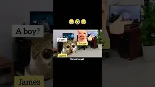 😱2 gay brother🏳️&zwj;🌈 in highschool(MEMESCAT)#shorts