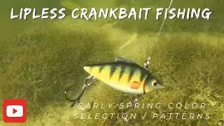Lipless Crankbait Fishing. Early Spring Color selection and patterns to find fish.