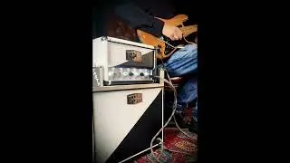 Tasha Amplification - Finest Handbuild Boutique Amps