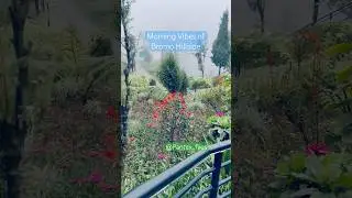 Morning vibes of Bromo hillside @Pantex_files #vacation #travel #bromoadventure #hillside #shorts