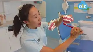 澳洲牙医Dr. Lisa - 洗刷刷洗刷刷，你真的会刷牙吗？牙齿不好可能是因为你会刷牙！
