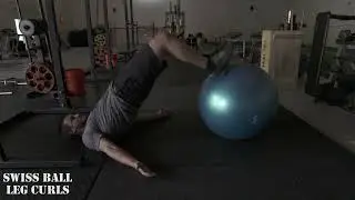 Swiss Ball Leg Curls GLUTE HAM