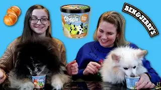 Ben & Jerry's Ice Cream For Dogs