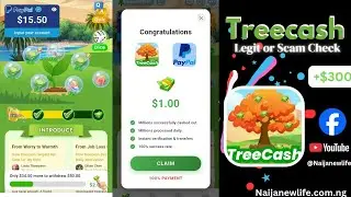 Treecash (Tree Cash) App  Review &ndash; Real or Fake App? &ndash; Find Out The Truth