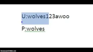 Animal jam accounts