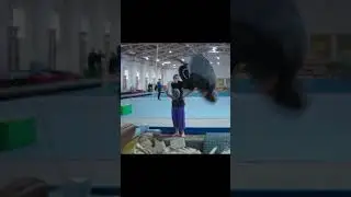 Triple front flip