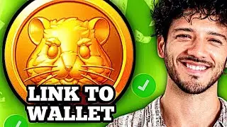 HOW TO CONNECT HAMSTER KOMBAT TO WALLET (EASY & FAST)