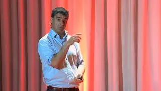Pinguins na Praia  | José Xavier | TEDxUniversidadedeCoimbra