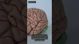 5 Mind-Boosting Exercises to Sharpen Your Brain #trending #viral #sharp #brain #relaxing #shorts
