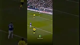 Richarlison goal vs Chelsea ⚽🔥💙#richarlison #everton #premierleague #goal #football #footballtime