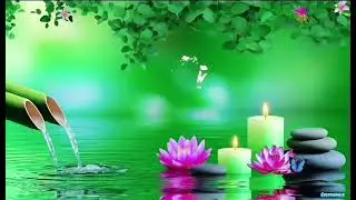 Healing Spa Sounds for Deep Relaxation | Calming Spa Music with Soft Water Sounds