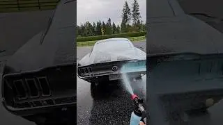 Mustang Fastback VS Blue Snow Foam | Satisfying Detailing ASMR Part 104 | Wash On Wheels Ocean Blast