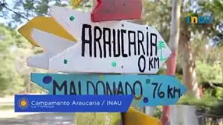 Campamento Araucaria, La Floresta | INAU