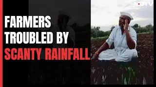 Farmers In Distress As Parts Of Maharashtra Seeing Drought-Like Conditions