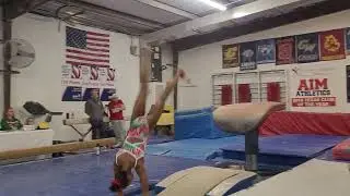 Intersquad meet Red vs Green Vault