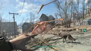 Some fallout glitch