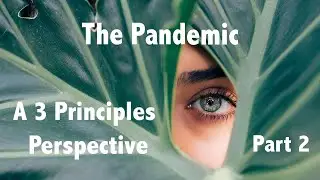 A Three Principles Perspective On The Pandemic Q&As