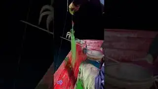 Candat Sotong Torak Gergasi/ Cumi Monster #shorts