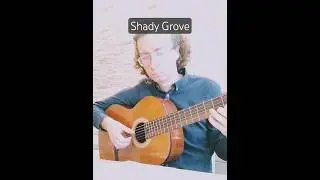 Shady Grove