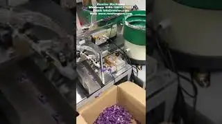 Automatic Clothespin Peg and Metal Clip Assembling Machine