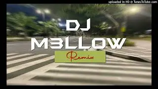 Ragga Twins - Dj M3llow Remix 2025