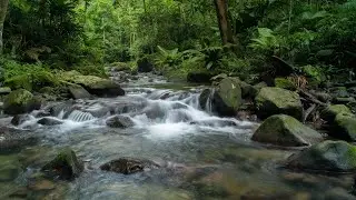 Close Your Eyes… Peaceful Waterfall Sounds 💧 Deep Sleep Tonight