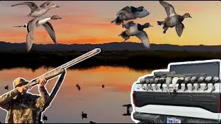 They Wouldn&rsquo;t Stop Decoying&hellip; | California Public Duck Hunt (2 MAN LIMIT?!)