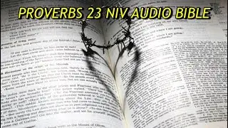 PROVERBS&nbsp;23 NIV AUDIO BIBLE(with text)