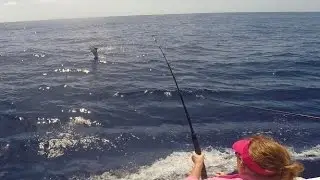 Mooloolaba Game Fishing Club Billfish Babes Shoot Out 2017
