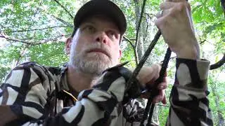 Bad Shot On A Public Land Buck