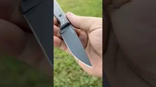 Gen3 Wasp w/FC Raindrop Gold