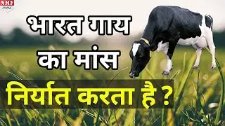 क्या India Beef का सबसे बड़ा Exporter है, देखिए ये Report