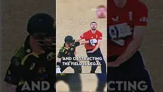 Mankading Vs Obstructing The Feild #shorts #cricket #cricketshorts