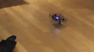 Miniwhoop works