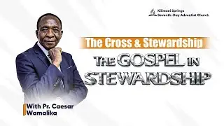 STEWARDSHIP
