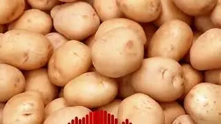 BadBoyHalo - Rapping Potato (by Pixel)