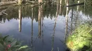 Eine Sache, die man im Fr&uuml;hling gemacht haben mu&szlig;